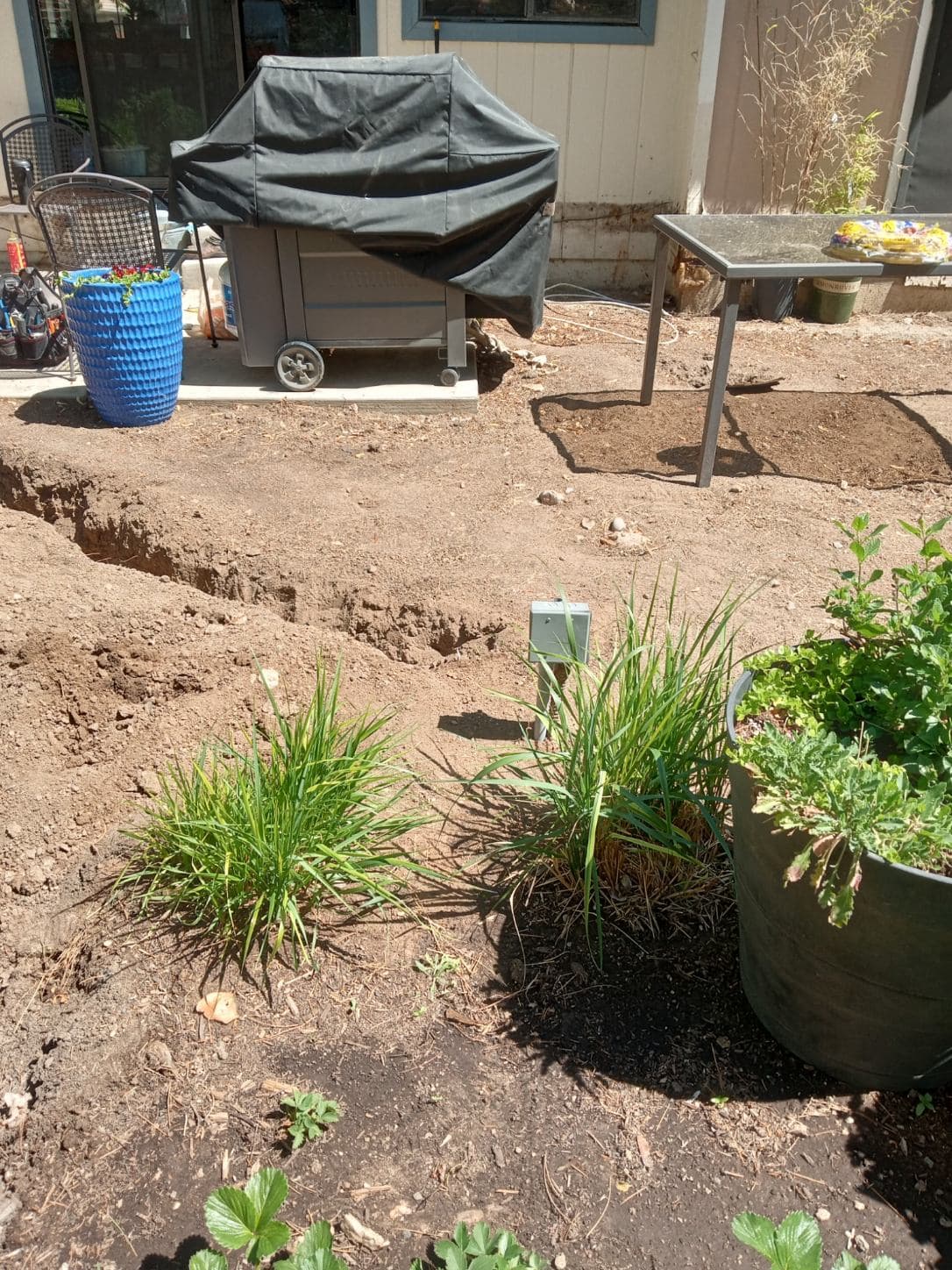 Gallery photos for Transforming Backyards with D C Electrical: Image #1